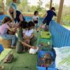 Petting Farm Animals in UAE